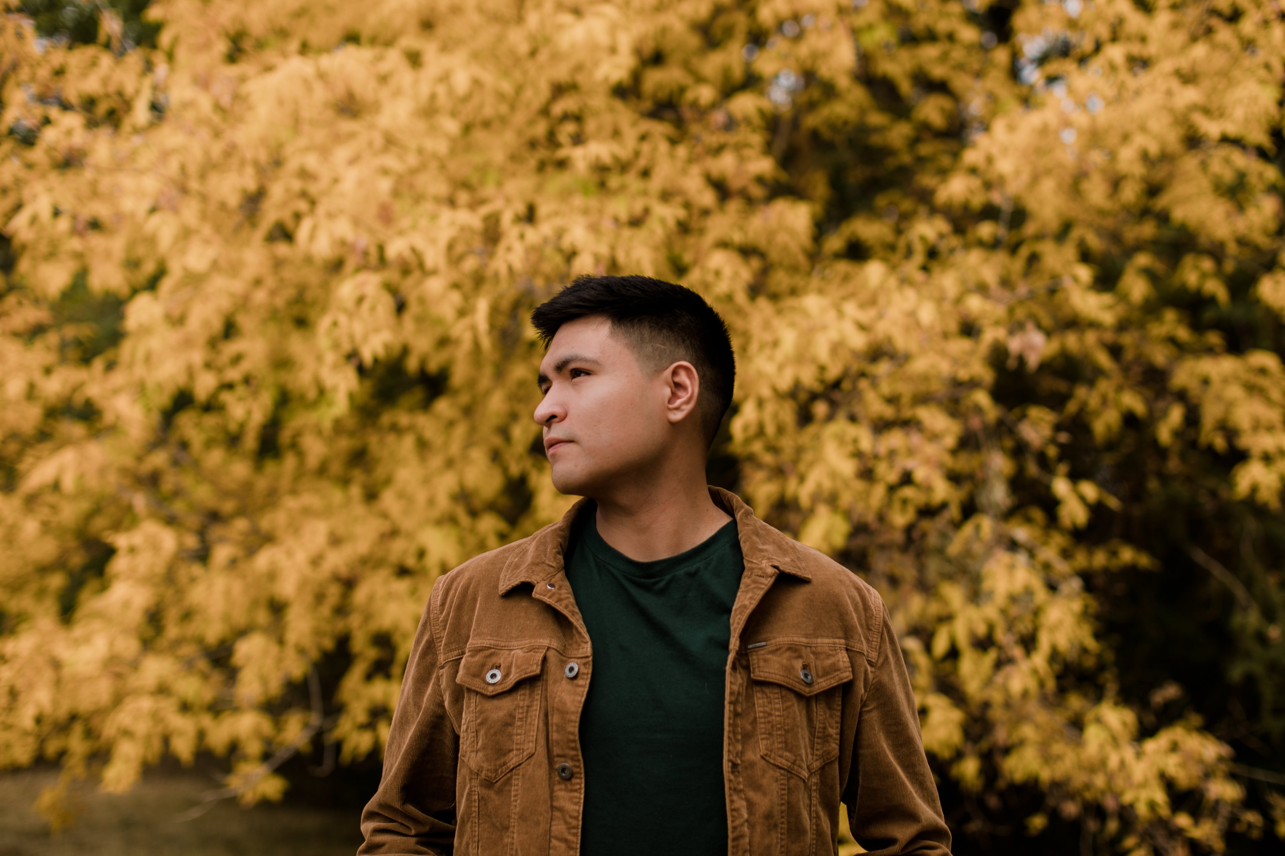 <em><strong>Carlos R.</strong></em>